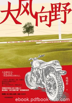 《大风向野》练明乔/满身风雨降落然后勇敢地面对生活/epub+mobi+azw3