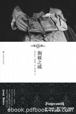 《荆棘之城》萨拉·沃特斯/一切都非苏想像的那般简单/epub+mobi+azw3