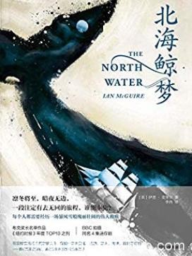 《北海鲸梦》伊恩·麦奎尔/2019年不可错过的小说/epub+mobi+azw3