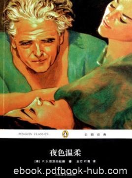 《夜色温柔》菲茨杰拉德/生前完成最后一部长篇小说/epub+mobi+azw3