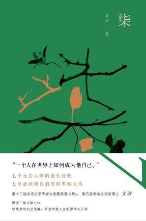 文珍《柒》一个人在世界上如何成为自己epub+mobi+azw3版电子书