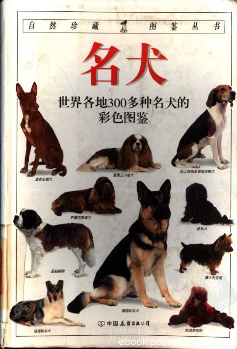 《名犬：全世界300多种名犬的彩色图鉴》扫描版PDF高清版