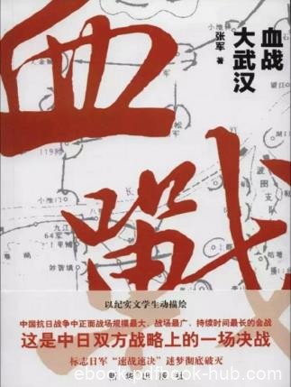 张军《血战大武汉》（精制插图本）epub+mobi版电子书下载