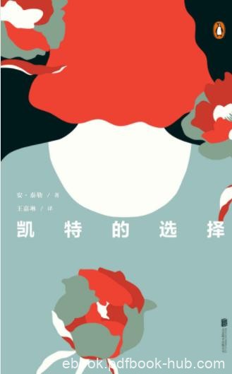 安·泰勒《凯特的选择》生活突然断电一般epub+mobi+azw3