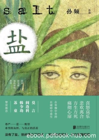 孙频《盐》作者生涯中最杰出的6个中篇作品epub+mobi+azw3