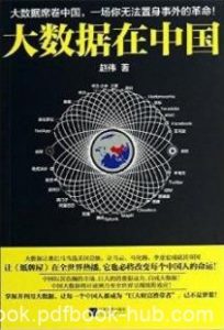 《大数据在中国》赵伟/个人与企业的转型与变革/epub+mobi+azw3|电子书之家