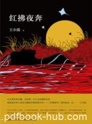 《红拂夜奔》王小波/李靖和杨素家妓红拂的风流韵事/epub+mobi+azw3