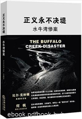 斯特恩《正义永不决堤：水牛湾惨案》epub+mobi+azw3版