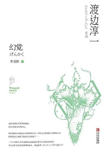 《幻觉》渡边淳一/诊疗社会沉疴旧疾的力作/epub+mobi+azw3