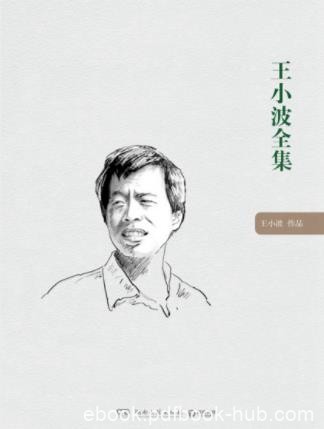 《王小波全集》[套装全10册]/李银河独家授权/epub+mobi+azw3