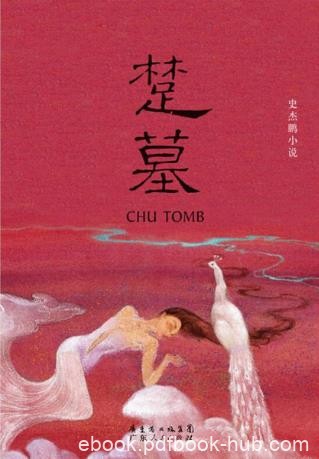 史杰鹏《楚墓》暌违五年的长篇小说作品epub+mobi+azw3