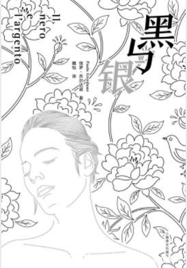 《黑与银》保罗·乔尔达诺/真实经历讲述生与死/epub+mobi+azw3