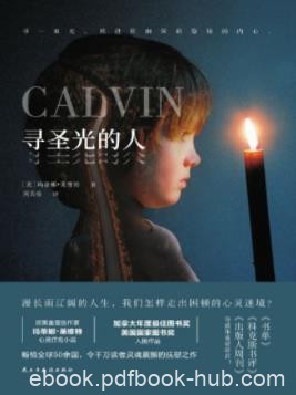《寻圣光的人》玛蒂娜·莱维特&amp;美国国家图书奖epub+mobi+azw3