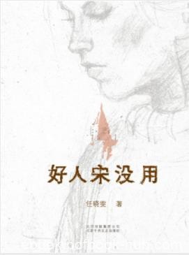 任晓雯《好人宋没用》苏北女人艰辛打拼epub+mobi+azw3