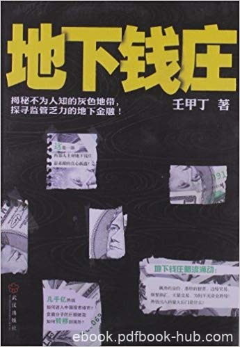 《地下钱庄》壬甲丁/展现其“蚂蚁搬家式”的经营奥秘/epub+mobi+azw3