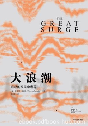 《大浪潮》斯蒂芬·拉德勒/发展中国家中成为一种常态/epub+mobi+azw3