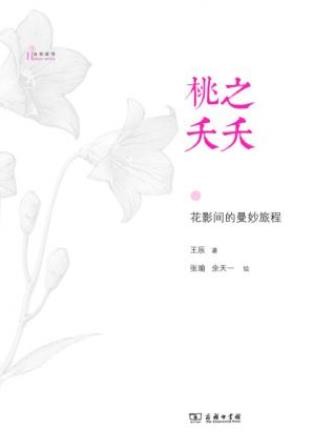 王辰《桃之夭夭：花影间的曼妙旅程》自然感悟epub+mobi+azw3