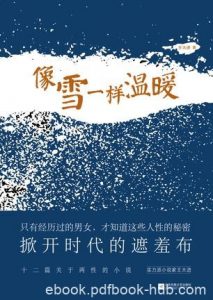 《像雪一样温暖》王大进/从容的笔墨揭示各种社会矛盾/epub+mobi+azw3|电子书之家