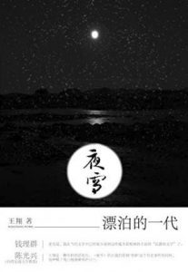 王翔《夜雪》精神流浪汉生活后的结晶epub+mobi+azw3|电子书之家