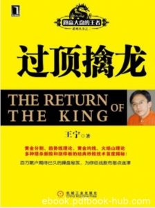 王宁《过顶擒龙》超级畅销《猎杀黑马》姊妹篇epub+mobi+azw3|电子书之家