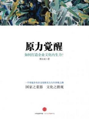 荆玉成《原力觉醒:如何打造企业文化内生力》epub+mobi+azw3