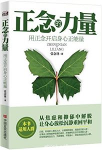 《正念的力量:用正念开启身心正能量》张念锋/正念修行/epub+mobi+azw3|电子书之家