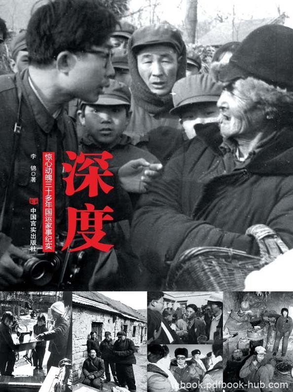 《深度：惊心动魄三十多年国运家事纪实》李锦