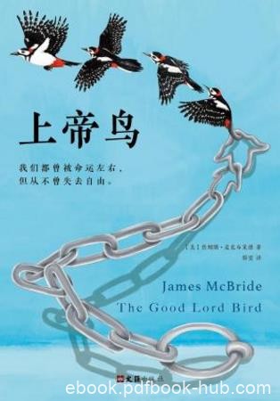 詹姆斯·麦克布莱德《上帝鸟》（精制多看版）epub+mobi